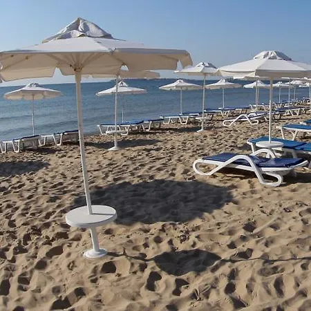 Sunny Day Club